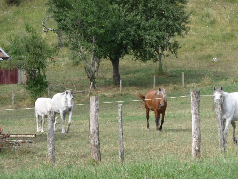 2 Chambres D'Hotes Privees Louees Separement Avec Communs A Partager Beaufort  Екстериор снимка